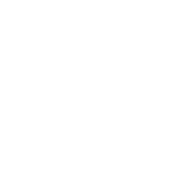 خدمات رنگ، لایت و احیا